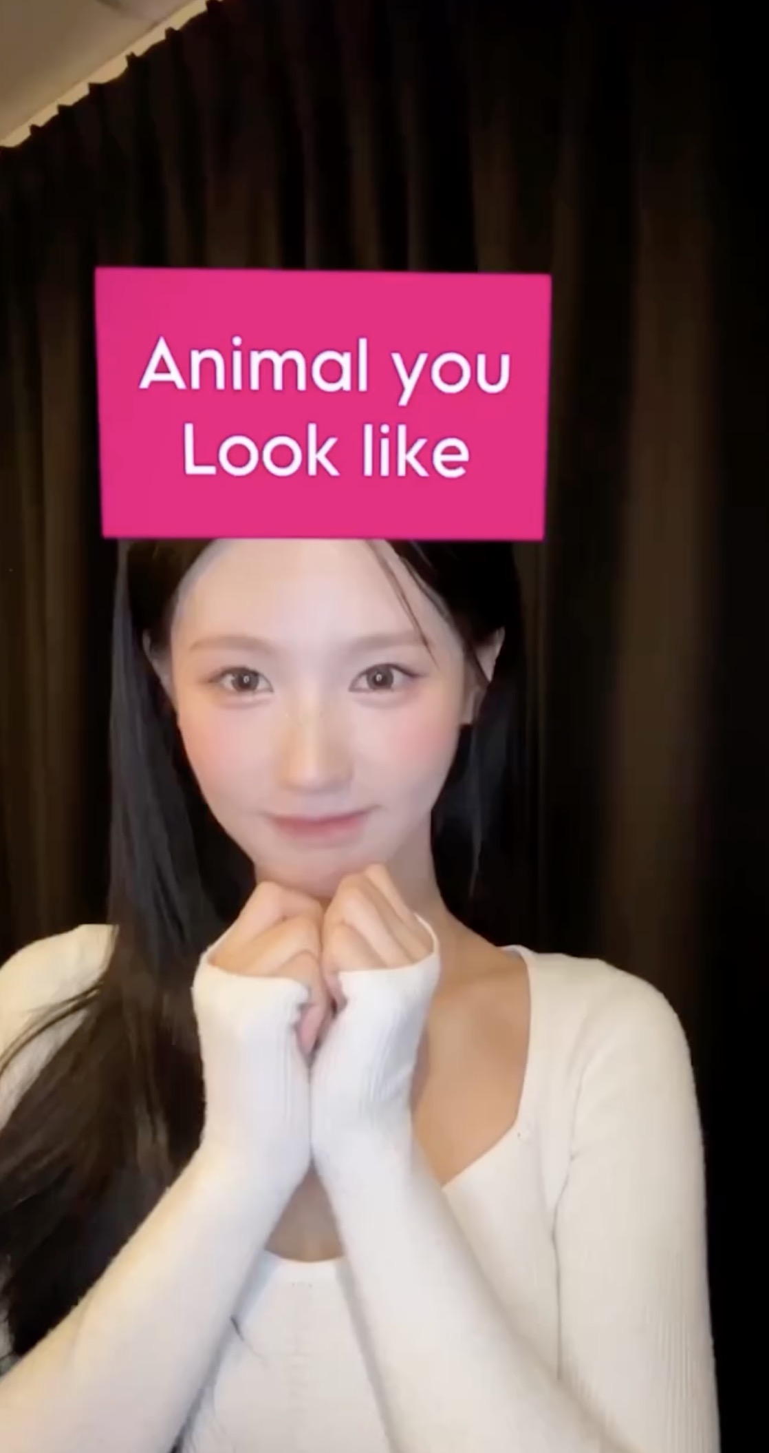 꽤 정확한 닮은 동물 찾기 필터😂
@내 얼굴은 어떤 동물상?🐶💗 이미지