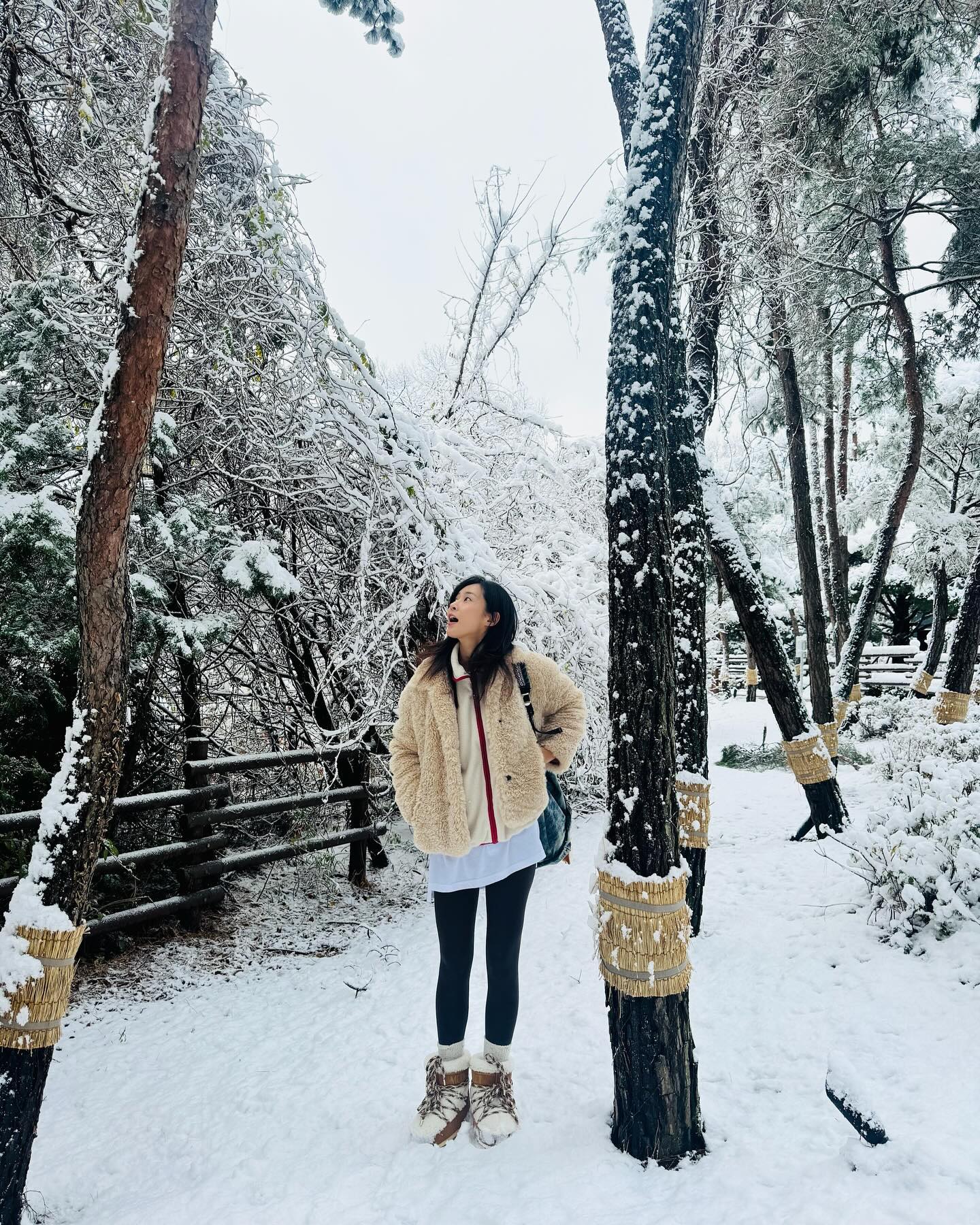 유리 이미지