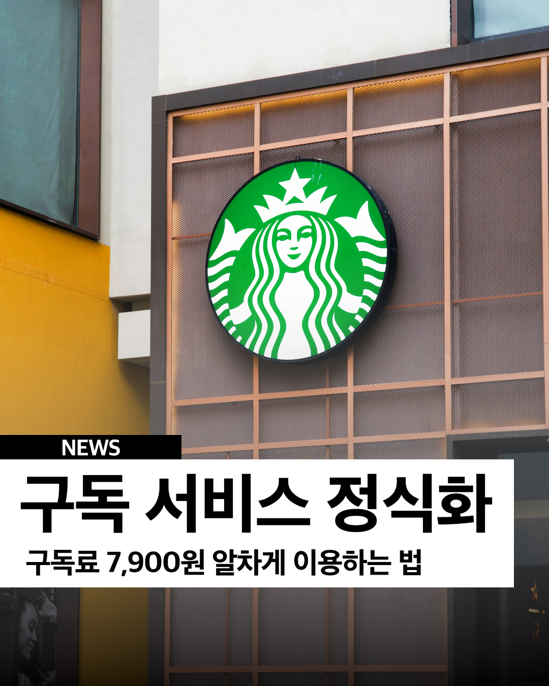 스타벅스 구독 서비스 정식화🎉 이미지