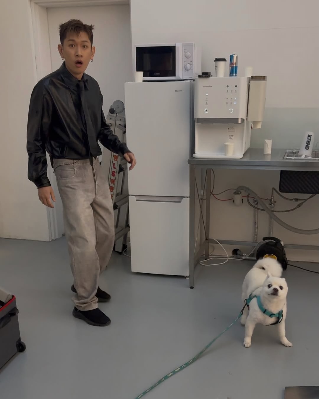 묘하'개' 닮은 사이🐶 이미지