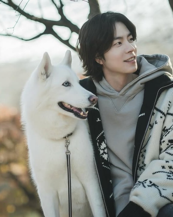 묘하'개' 닮은 사이🐶 이미지