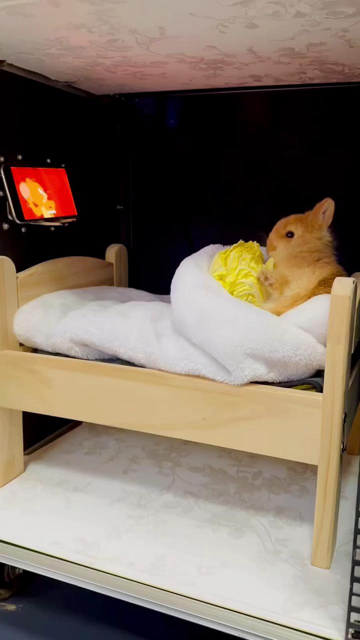 추운 날에는 집콕이 딱이지🏡 이미지