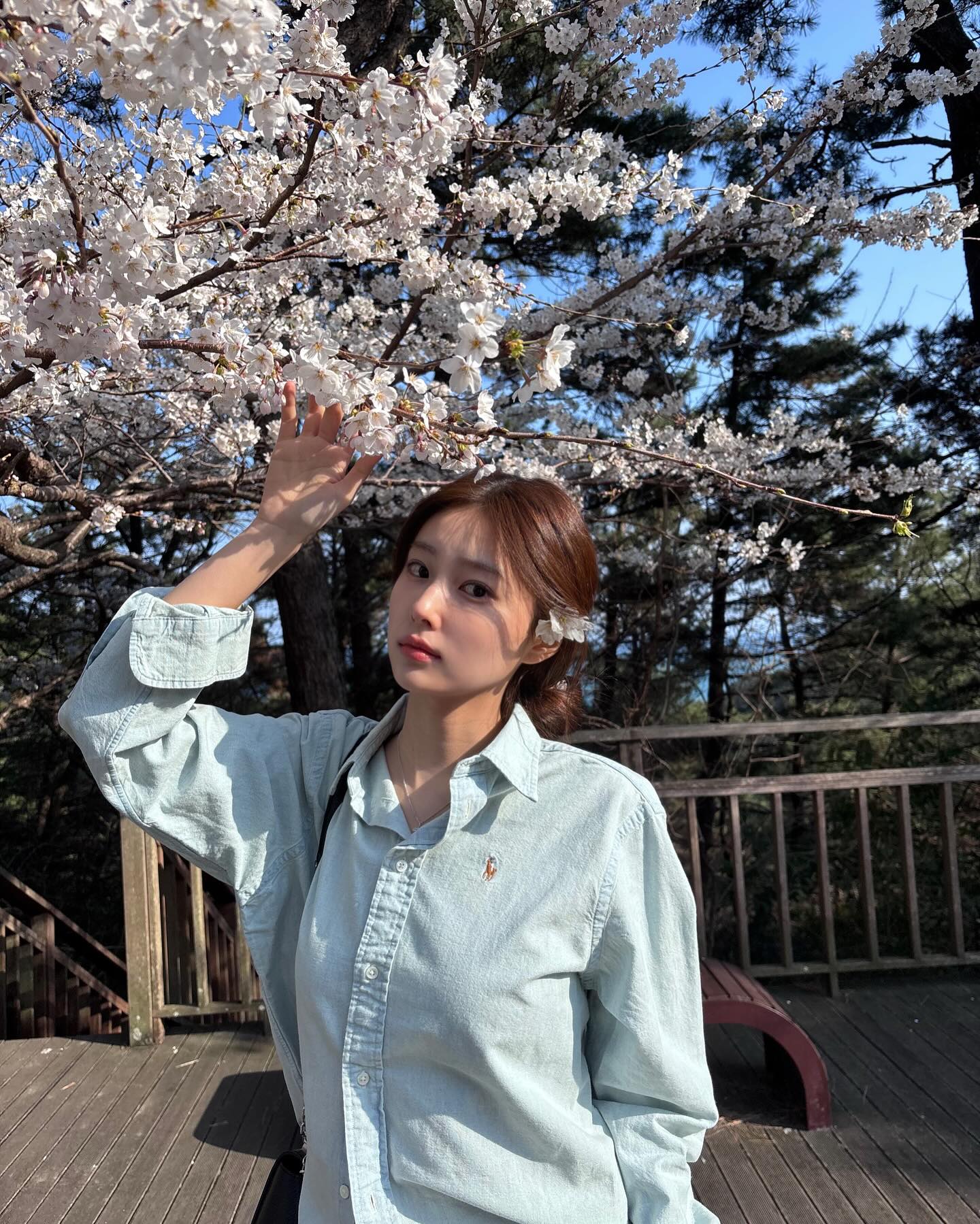 강혜원 이미지