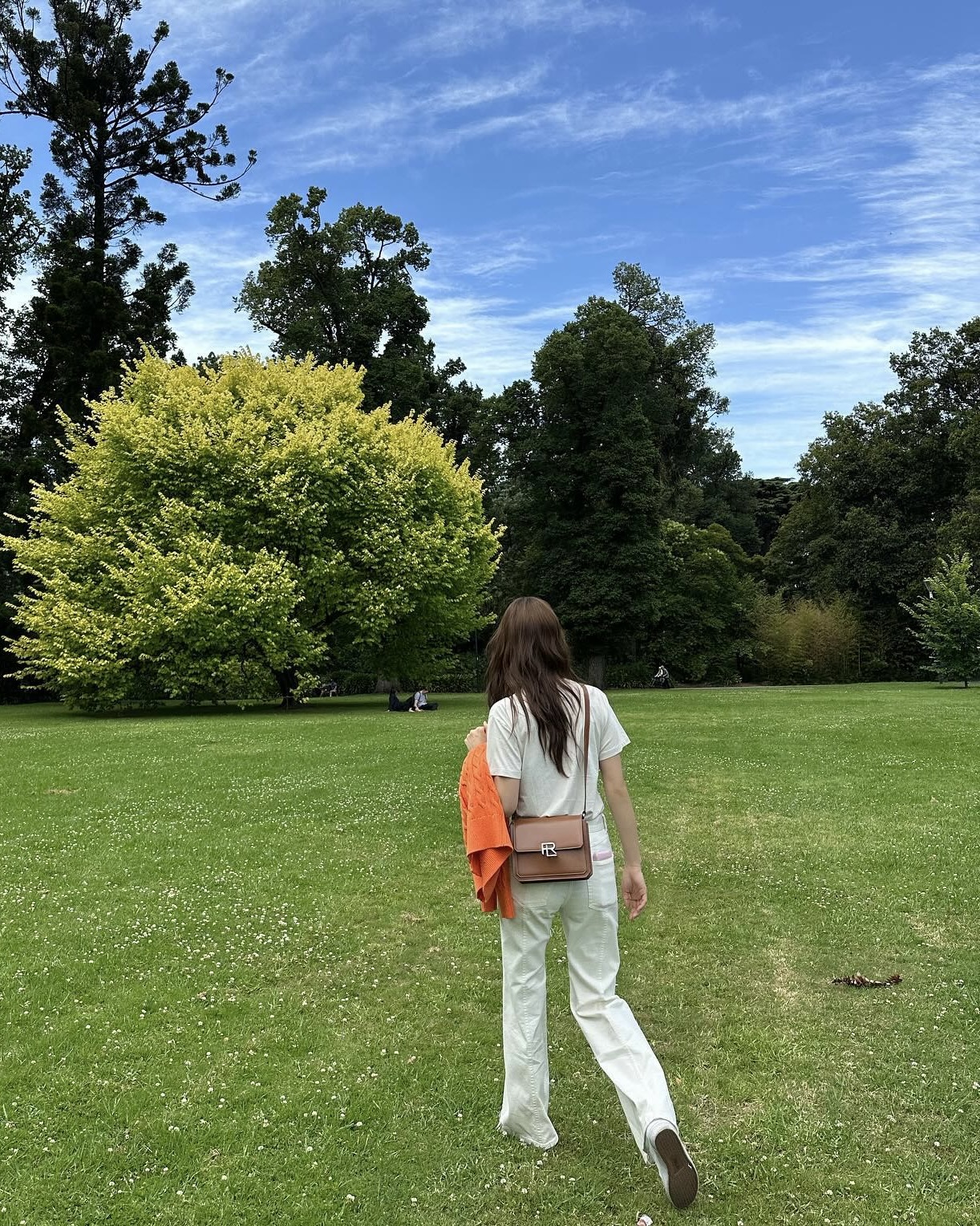 크리스탈 이미지