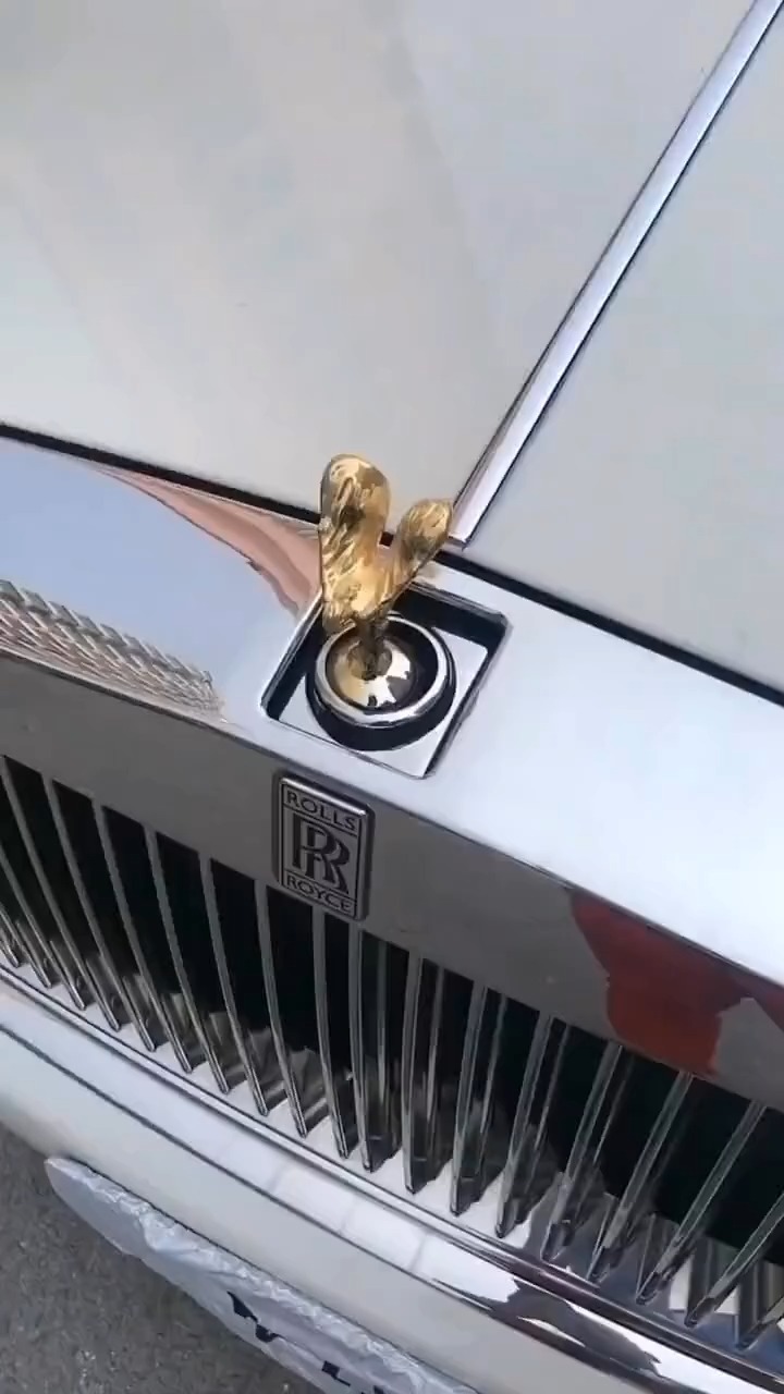 멍스로이스🐶🗽 이미지