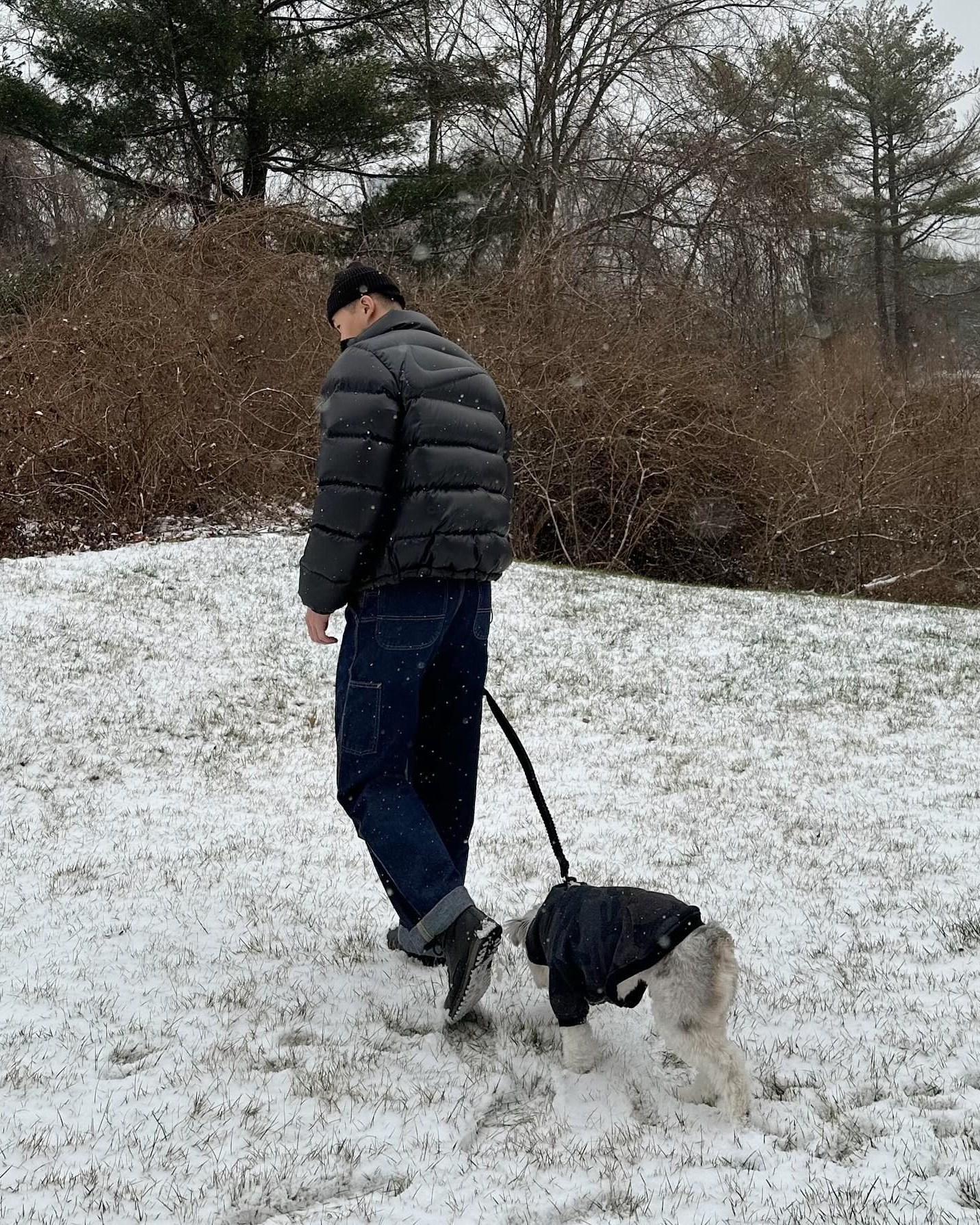 로고 대장님의 존엄🍖 이미지"