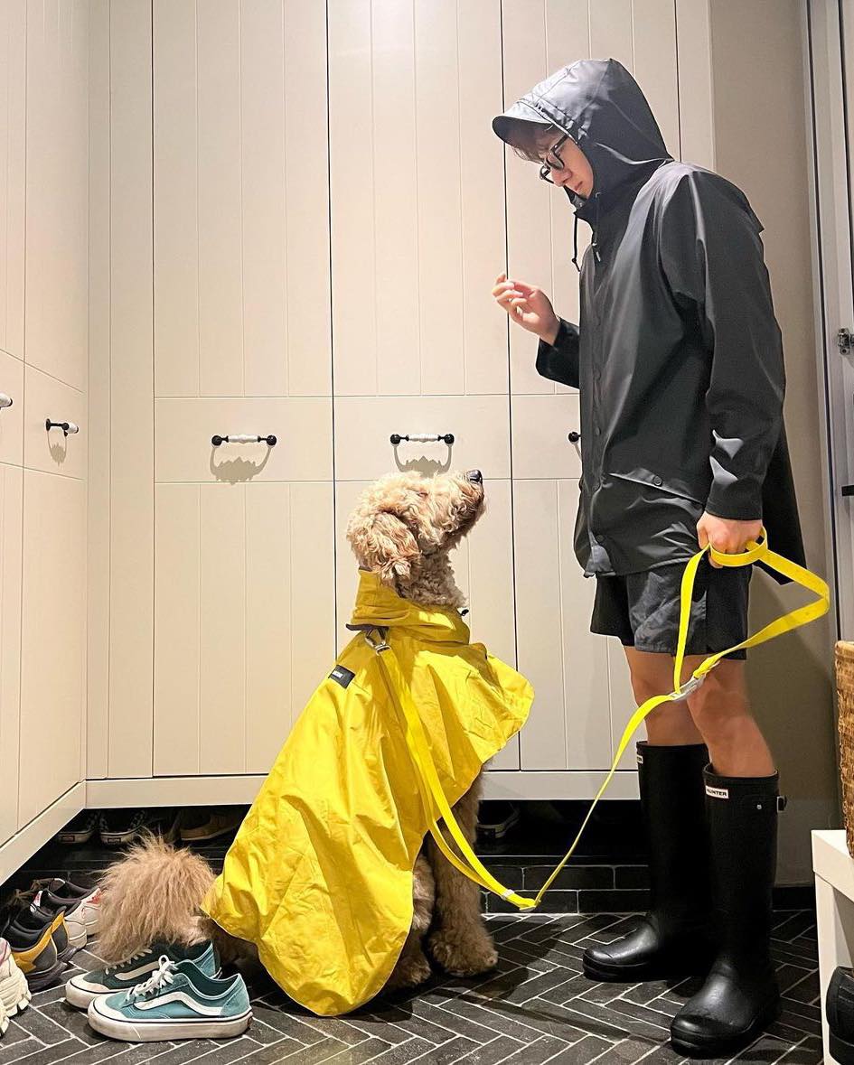 파산했어도 장마 국밥 부츠🌧🦁 이미지