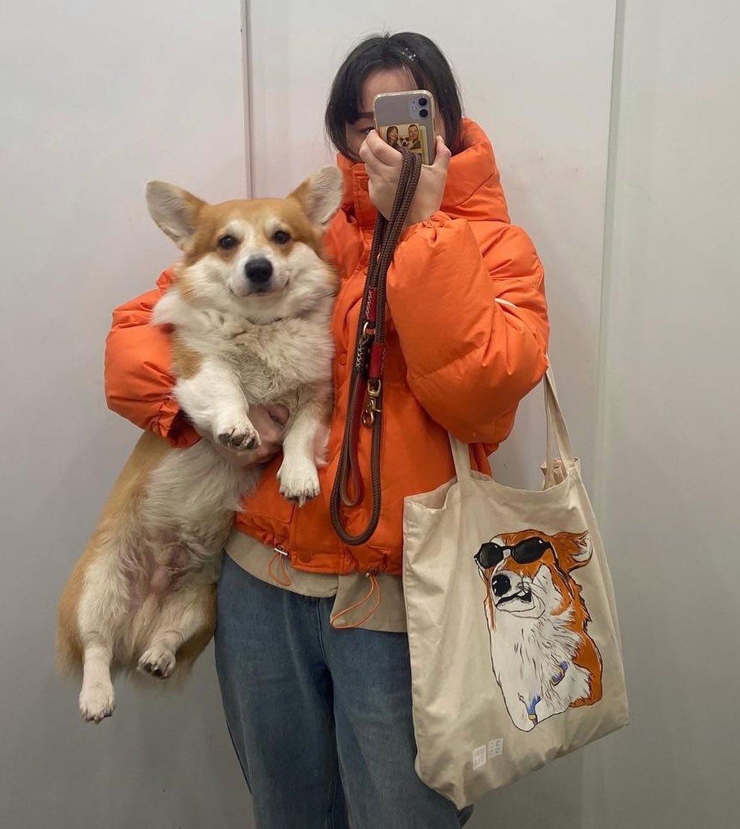 나도 댕일리룩🐶🧡@찍을래 이미지"