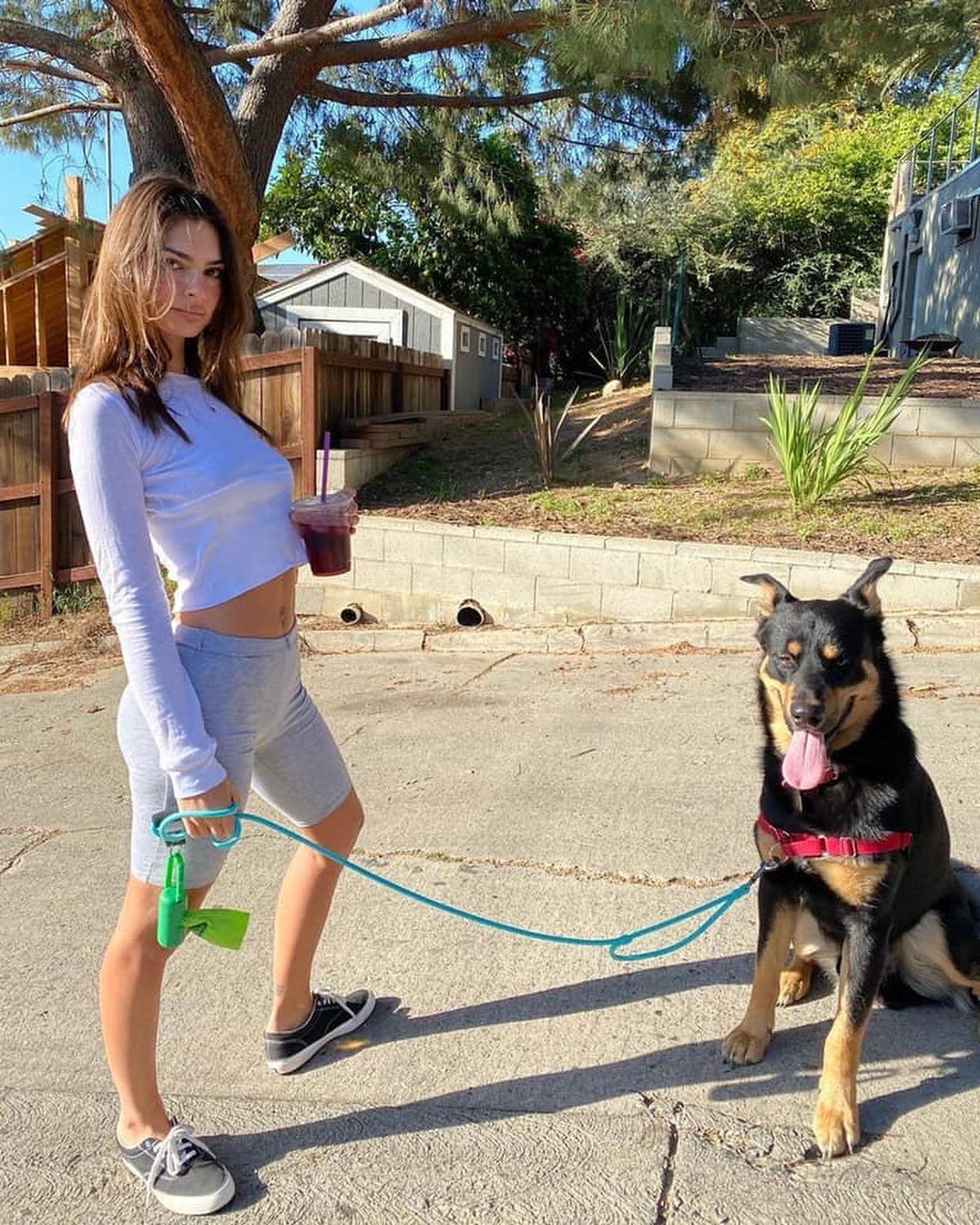 댕댕이 산책룩 구경하기🐕‍🦺💗 이미지